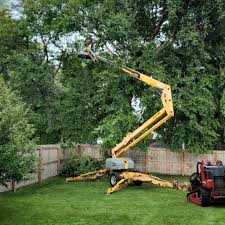 How Our Tree Care Process Works  in  Woodville, AL